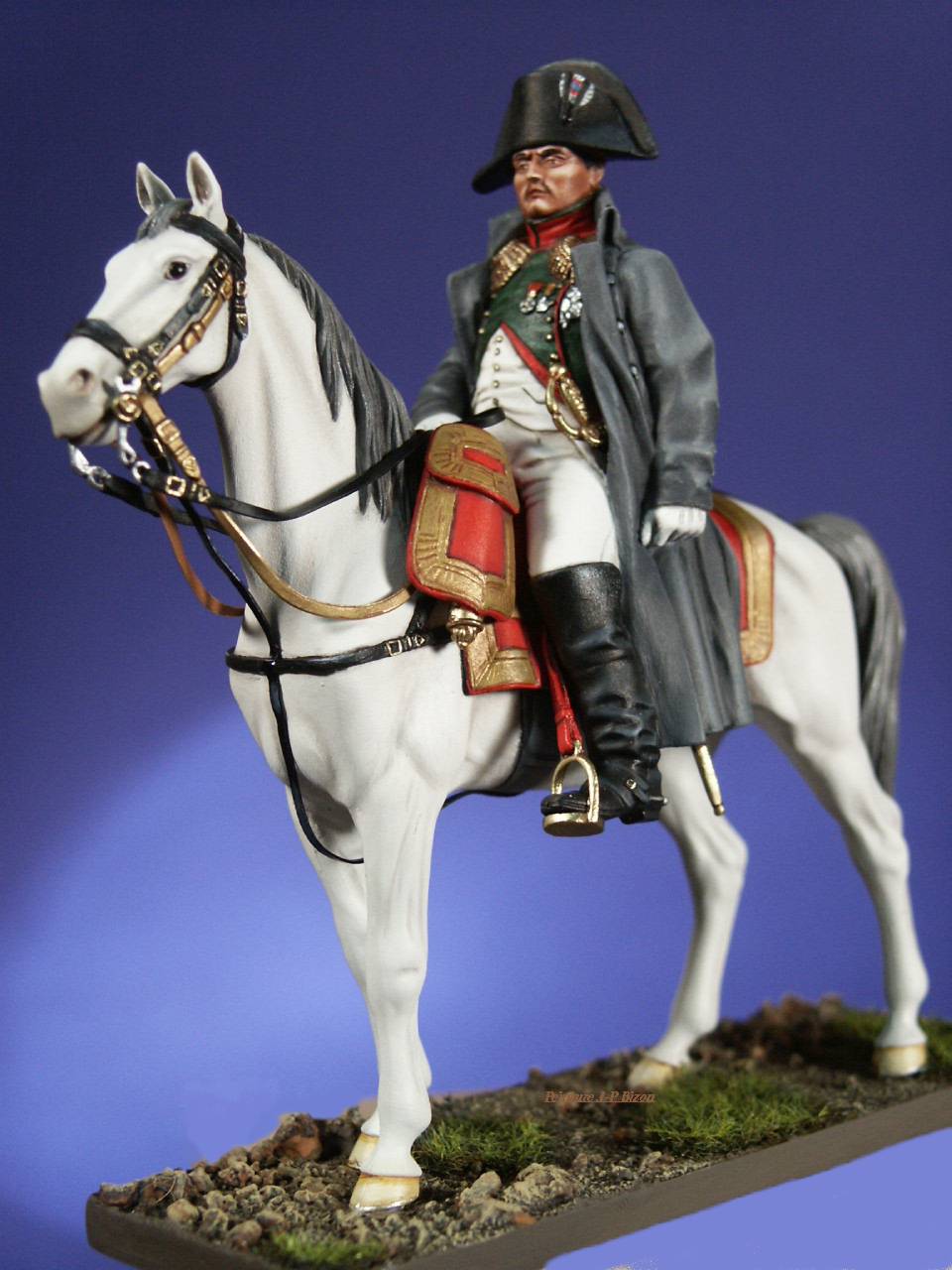 napoleonsite.jpg (115620 octets)